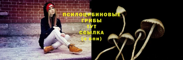 таблы Покачи
