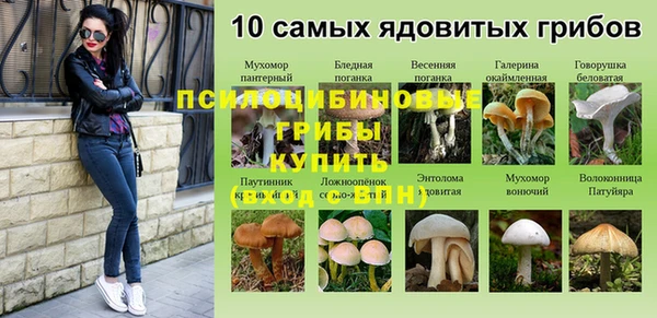 тгк Покров