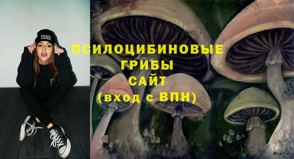 альфа пвп Протвино