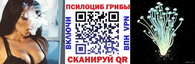 Псилоцибиновые грибы мицелий Ивантеевка