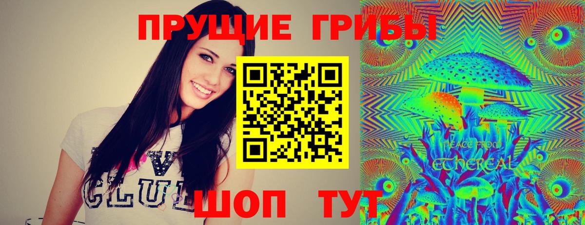 Псилоцибиновые грибы Psilocybine cubensis Ивантеевка