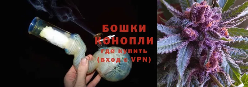 Бошки Шишки SATIVA & INDICA  Ивантеевка 